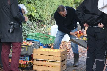 BUND Apfeltag in Lage, Foto: Markus Krüger