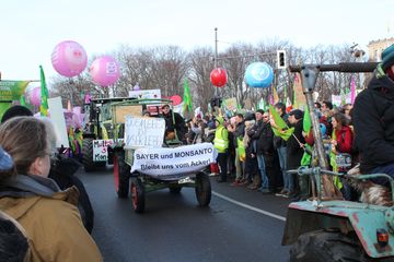 Demo "Wir haben Agrarindustrie satt" 2019 in Berlin, Foto: Stephan Culemann