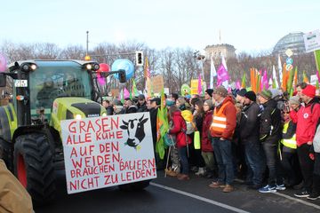 Demo "Wir haben Agrarindustrie satt" 2019 in Berlin, Foto: Stephan Culemann