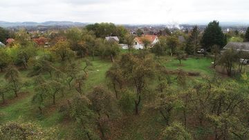 BUND Apfeltag in Lage, Foto: Markus Krüger