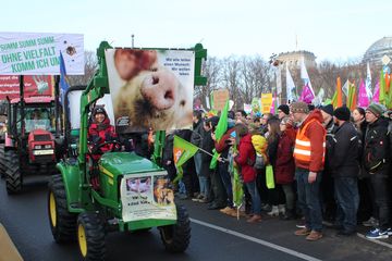 Demo "Wir haben Agrarindustrie satt" 2019 in Berlin, Foto: Stephan Culemann