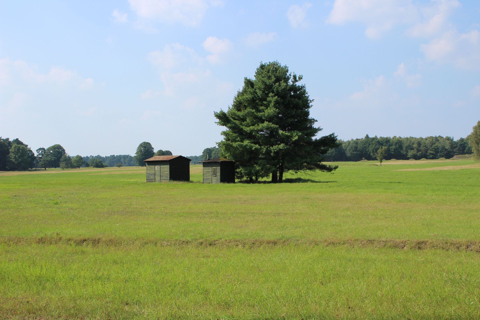 Nationalpark Senne