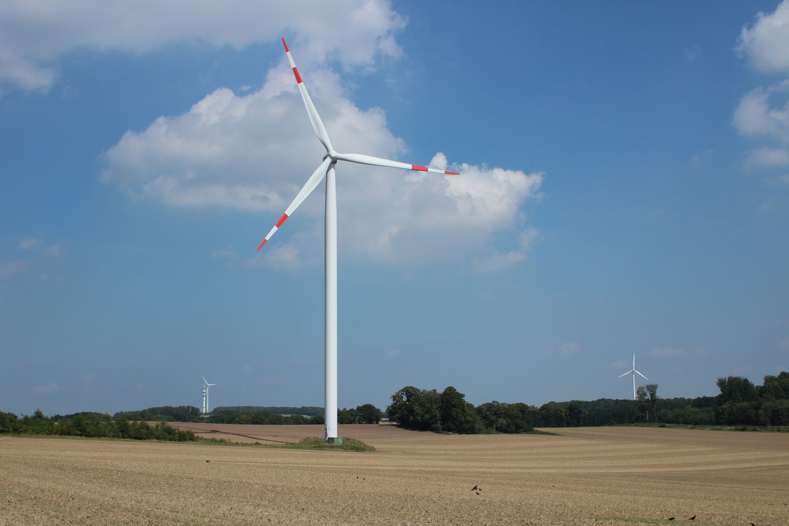 Der BUND in Lippe unterstützt den Klimaschutzplan in NRW