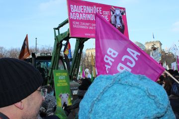 Demo "Wir haben Agrarindustrie satt" 2019 in Berlin, Foto: Stephan Culemann